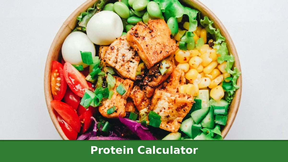 Protein Calculator: high protein foods