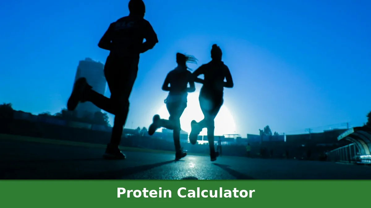 Athlete Protein Calculator