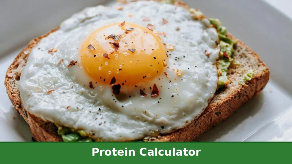 Egg and avocado toast for daily protein