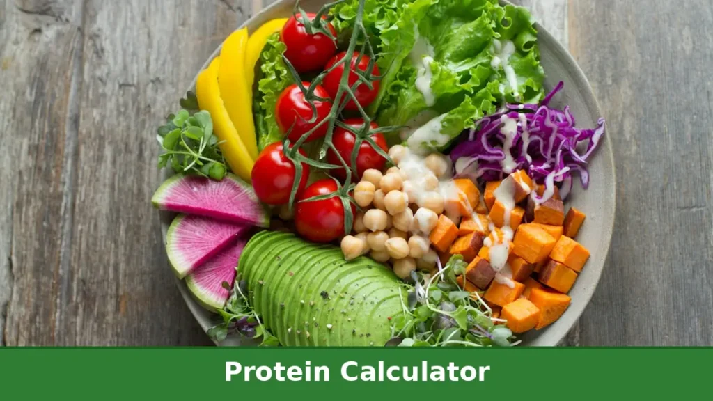 Healthy vegetable protein bowl for weight loss