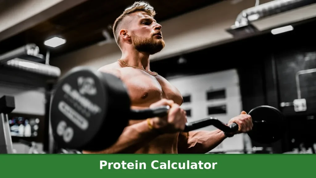 Protein formula calculator showing the math behind protein calculations