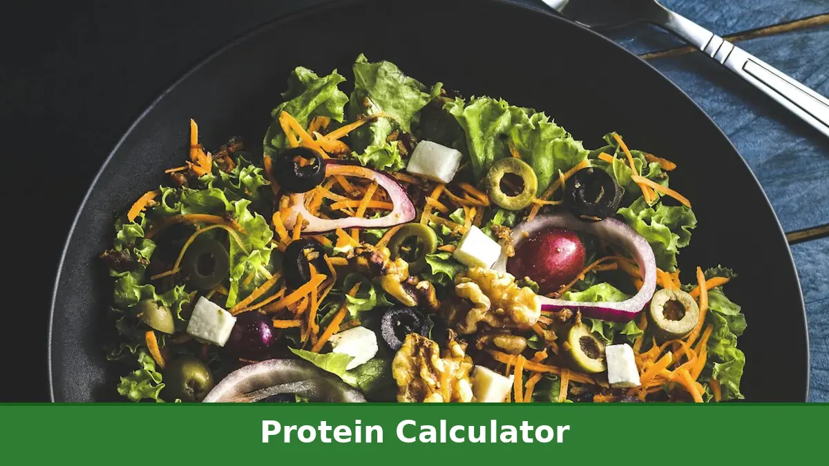 Person tracking daily protein intake on a phone with a healthy high protein meal